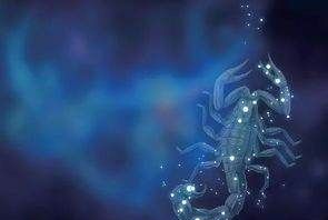 不功利不浮夸什么意思,不急功不近利图4