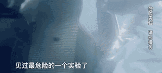 什么情况要用到汽车安全锤(特别提醒安全锤)(11)