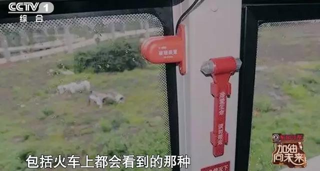 什么情况要用到汽车安全锤(特别提醒安全锤)(12)