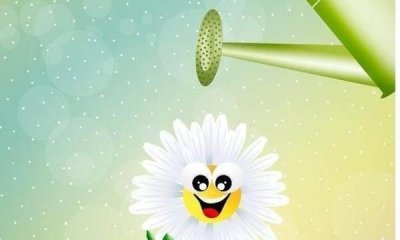 ​过期啤酒的妙用，变废为宝——过期啤酒的妙用方法？