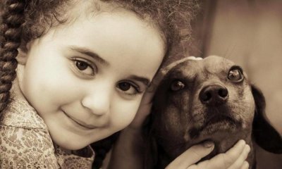 ​一岁宝宝被宠物咬伤毁容, 狂犬病有多可怕! 父母务必牢记7个要点