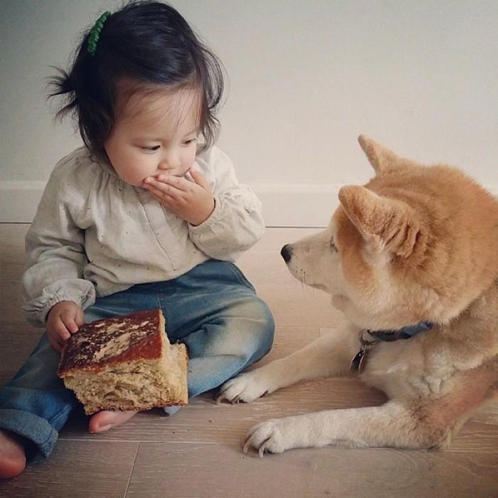 一岁宝宝被宠物咬伤毁容, 狂犬病有多可怕! 父母务必牢记7个要点