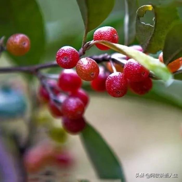 老婆闹离婚分开一个月了（老婆就要闹离婚）