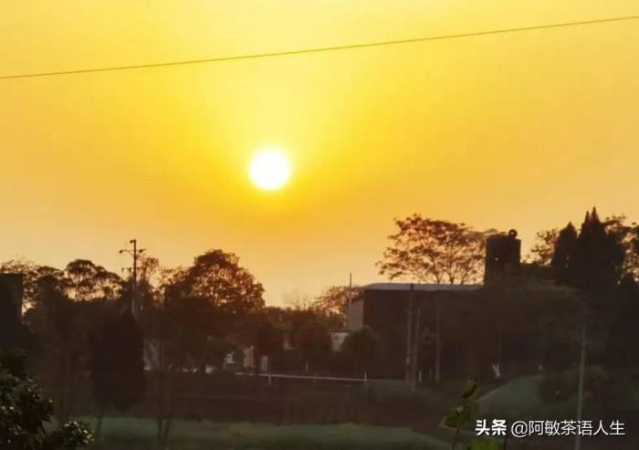 老婆闹离婚分开一个月了（老婆就要闹离婚）