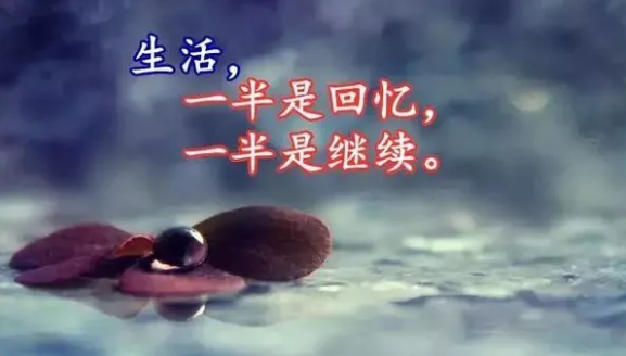 感悟生活的经典句子,生活感悟经典短句子图3