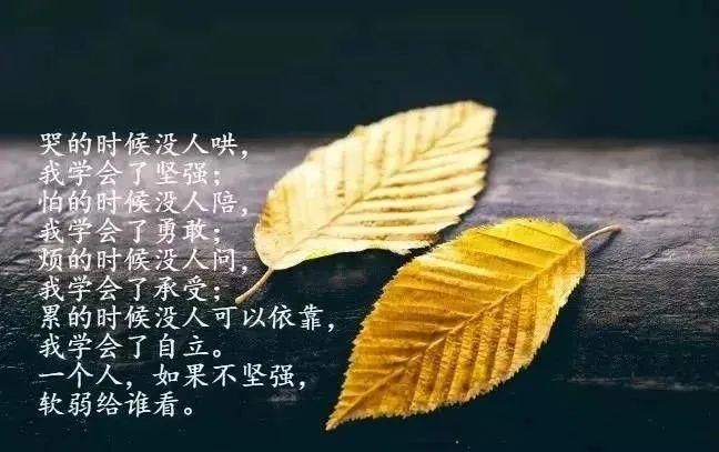 美食与生活感悟的句子