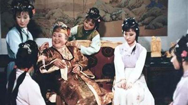 红楼梦中贾母有几个亲生儿子（贾母有几个儿子分别是谁）