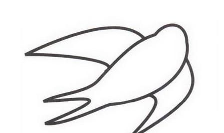 燕子怎么画，中班画小燕子怎么画？图5