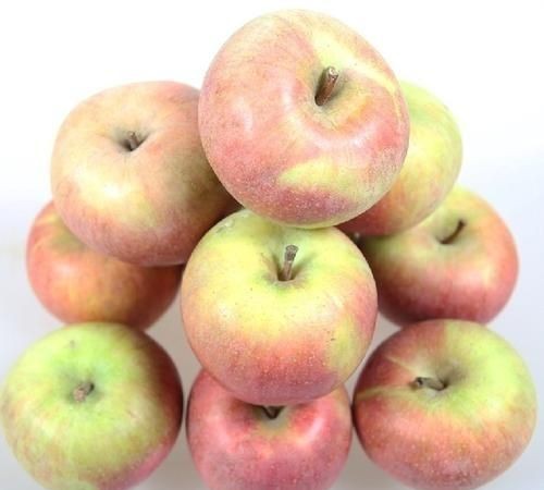 苹果的生长过程,苹果是怎样生长的,还有苹果如何结果,苹果成熟的过程?图3