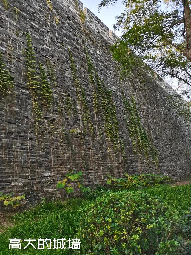 深秋南京二日游攻略（南京两日游小记）(8)
