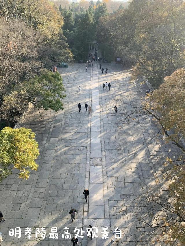 深秋南京二日游攻略（南京两日游小记）(7)