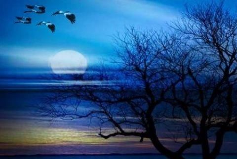 中秋节的故事简短，中秋节的故事简单点？图3