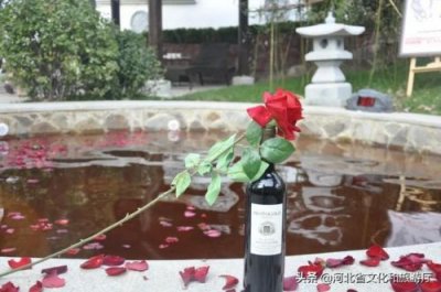 ​白鹿温泉一日游攻略(白鹿温泉一日游多少钱)