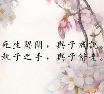 ​执子之手与子偕老的意思，执子之手，与子偕老，最初的意思是？后来又是什么意