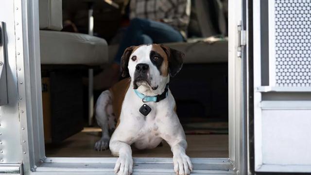 苹果防丢追踪器(失物追踪专家Tile)(7)