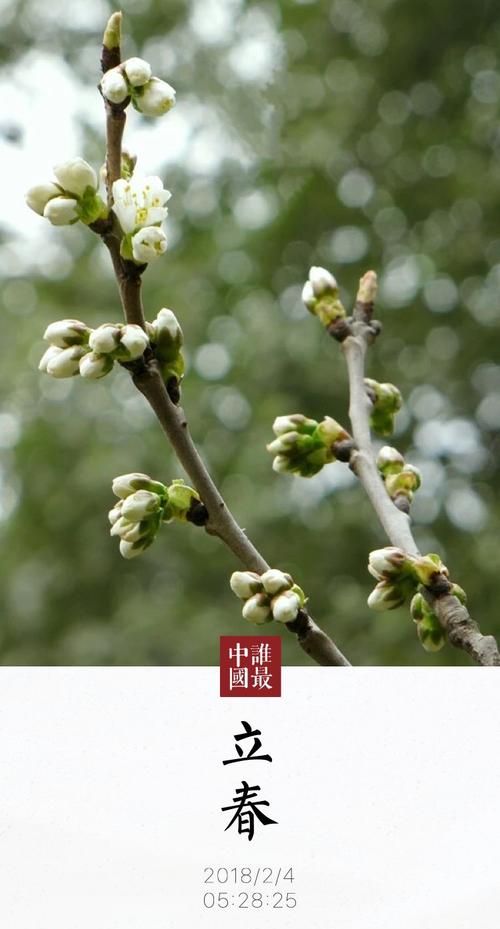 24节气之一立春中的立是什么意思