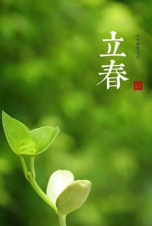 立春的立是什么意思,意味着什么