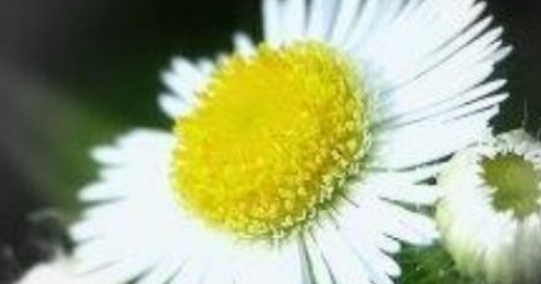 节哀顺变是什么意思,节哀顺变是什么意思图1