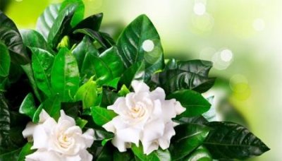 ​海天酱油时间 海天酱油是哪里生产的