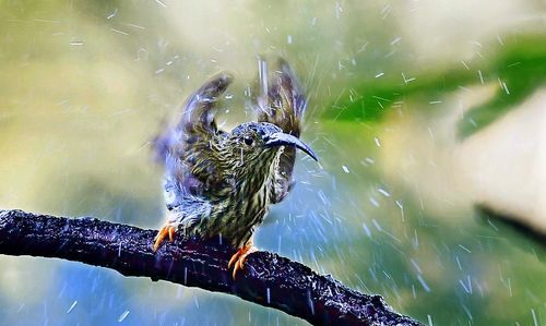 洗尽铅华是什么意思