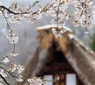 ​洗尽铅华也从容,洗尽铅华下一句是什么