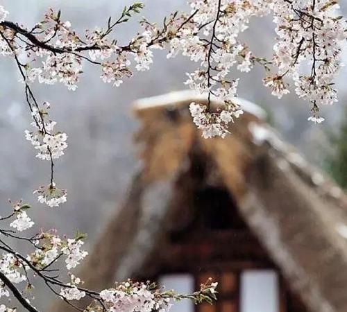 洗尽铅华下一句是什么