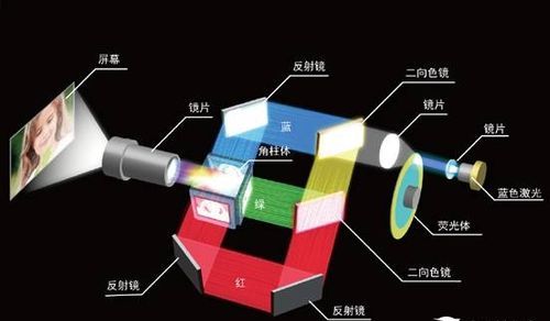 初二物理，照相机和投影仪的制作原理