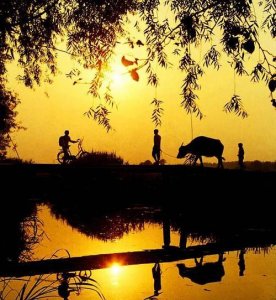 ​回光返照出自哪部作品,回光返照出自哪本书?