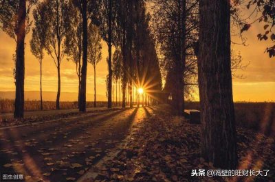 ​节哀顺变是什么意思(你说不懂节哀顺变，其实是你不懂人生背后的无奈)