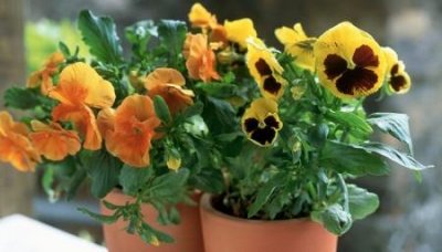 ​佛山卧乐家居卧乐床垫质量怎么样