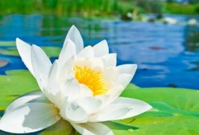 ​咖啡加盟店10大品牌排行榜 中国咖啡排行榜 ，国内咖啡品牌排行榜