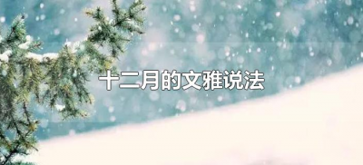 ​十二月的文雅说法（十二月文雅的叫法）