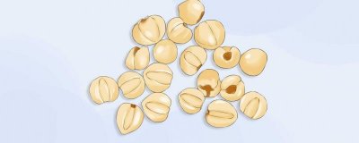 ​蚬子肉的营养价值及营养成分