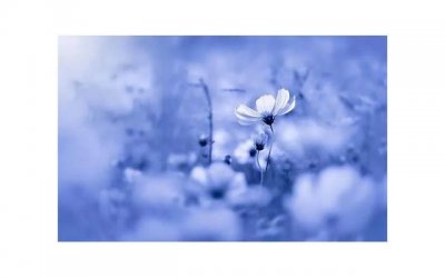 ​双鱼男喜欢年龄大的女人是什么原因