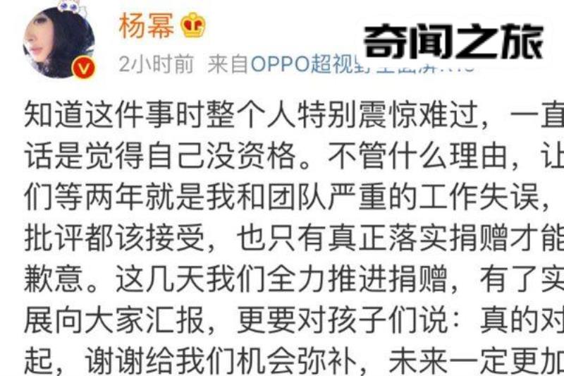 杨幂诈捐是什么原因(杨幂诈捐门详细过程)(2)_