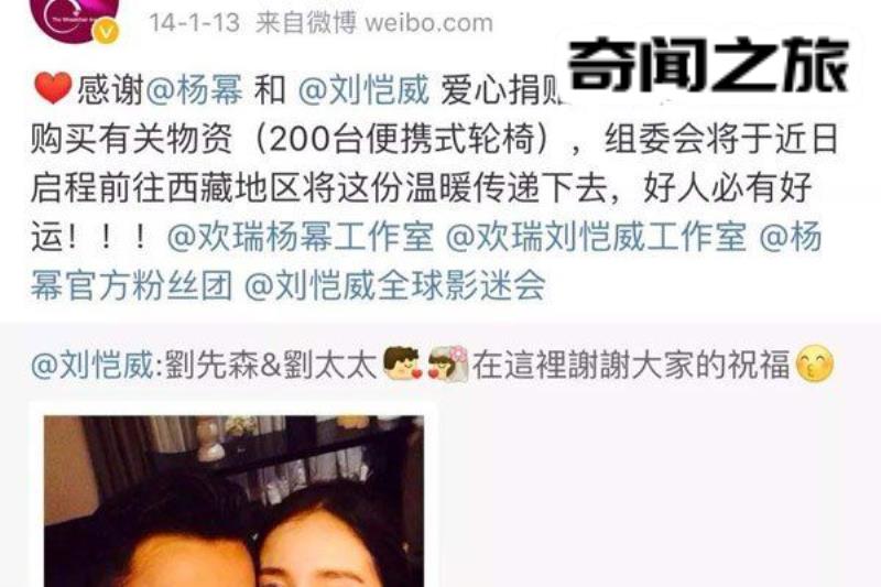 杨幂诈捐是什么原因(杨幂诈捐门详细过程)(6)_