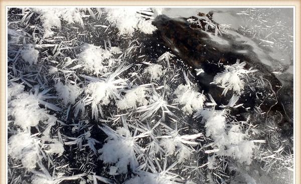 张山营镇龙聚山庄(延庆张山营龙聚山庄景点) 张山营镇 龙聚山庄 第7张