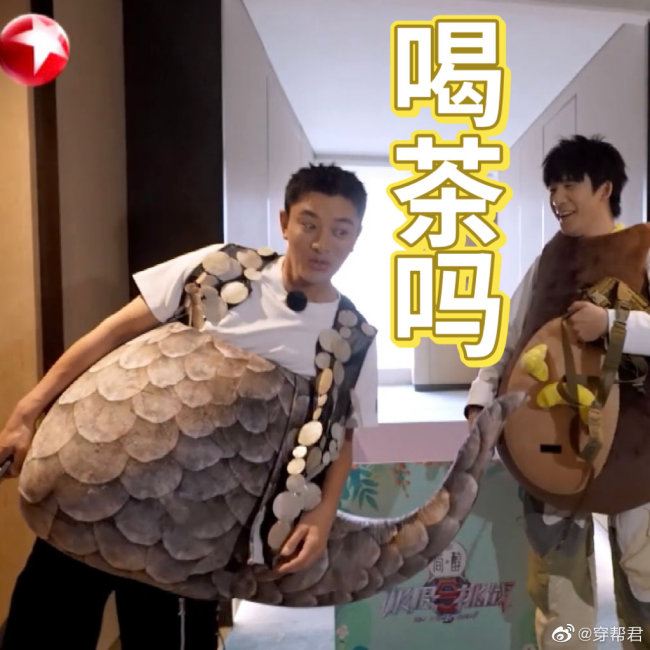 哈哈哈！贾乃亮穿的衣服好像茶壶