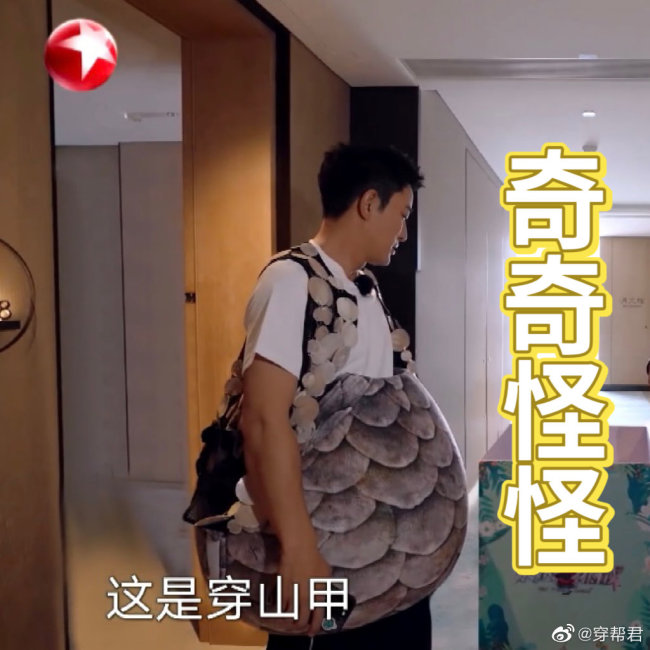 哈哈哈！贾乃亮穿的衣服好像茶壶