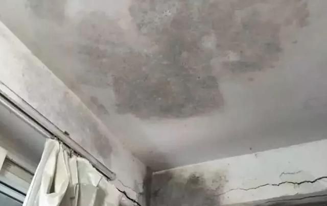 打扫天花板的工具叫什么，房子天花板发霉怎么处理，有什么妙招？图6