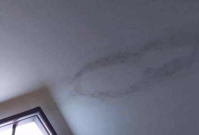 打扫天花板的工具叫什么，房子天花板发霉怎么处理，有什么妙招？图5