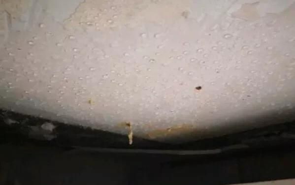 打扫天花板的工具叫什么，房子天花板发霉怎么处理，有什么妙招？图2