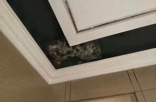 打扫天花板的工具叫什么，房子天花板发霉怎么处理，有什么妙招？图3