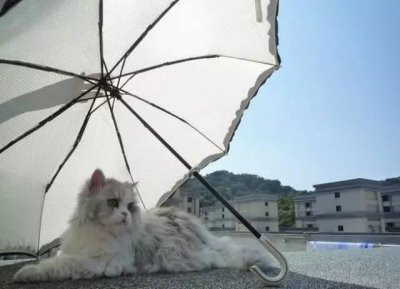 ​皮肤黑怎么办有什么方法可以变白（8个小妙招教你迅速变白）