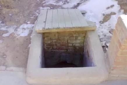 新鲜萝卜怎么保存的更久，新鲜白萝卜怎么样才能放久点？图7