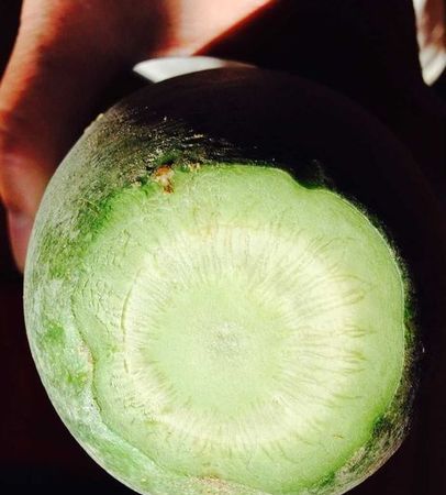 新鲜白萝卜怎么样才能放久点