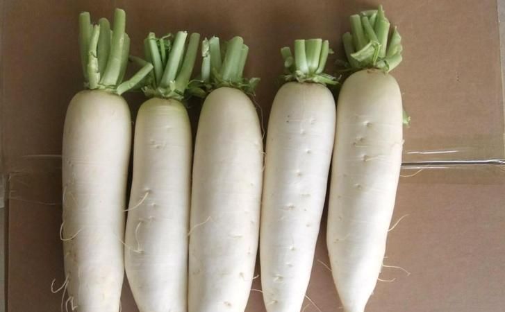 萝卜怎么放冰箱保存新鲜不坏