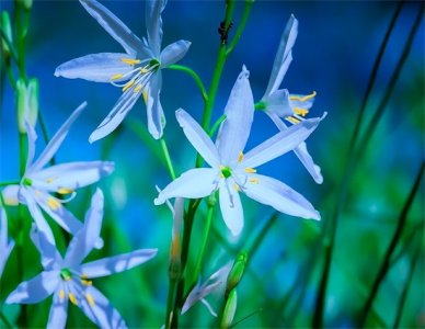 ​朋友之上恋人未满？不清不楚的关系，失去比拥有更踏实！