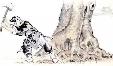 吴刚为什么一直在砍树?