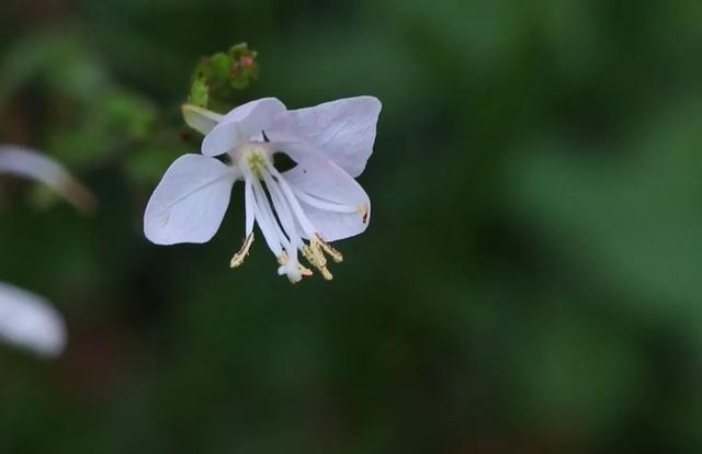 灵魂伴侣的六大特征（灵魂伴侣会有这些感应）(5)